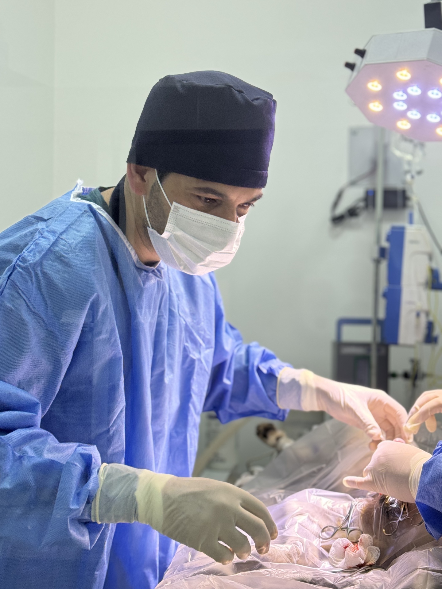 Equipe veterinária em cirurgia