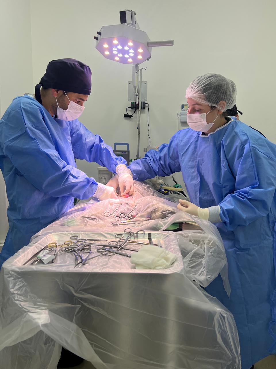 Clínica Veterinária