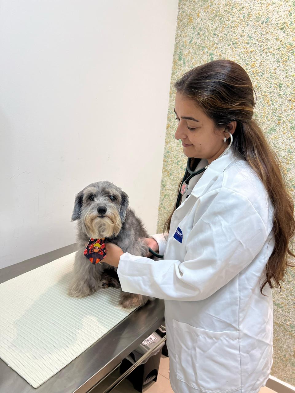 Veterinária examinando um cachorro na Pet Store